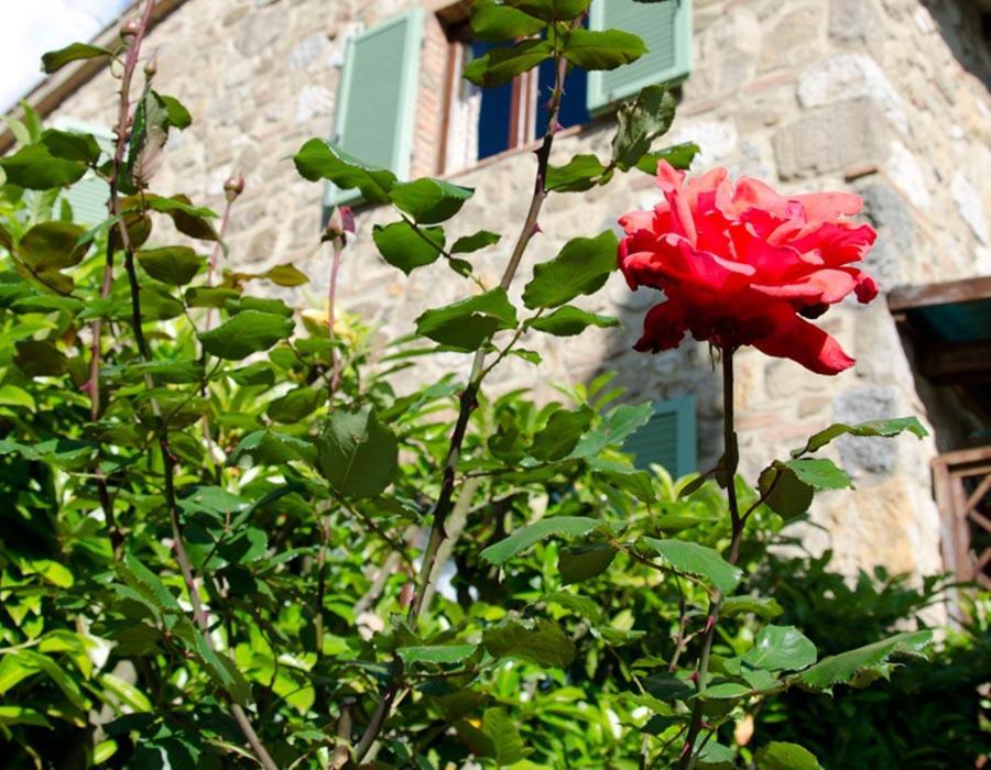 Tenuta Colombaio Casole d'Elsa Bagian luar foto